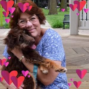 Meet your Posher, Diane